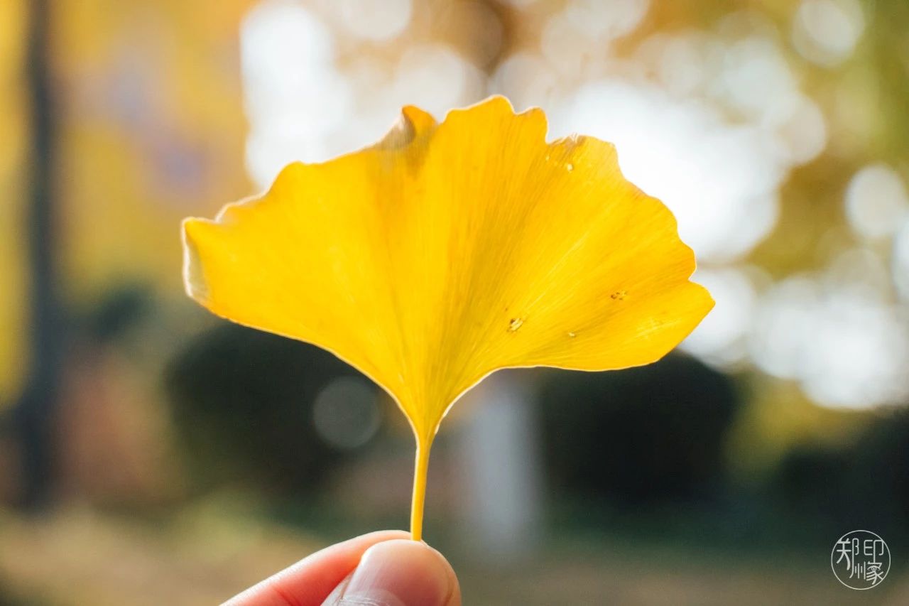 娴庡崡骞寸粓鎬荤粨鎶ュ憡,鍚堣偉骞寸粓鎬荤粨鎶ュ憡