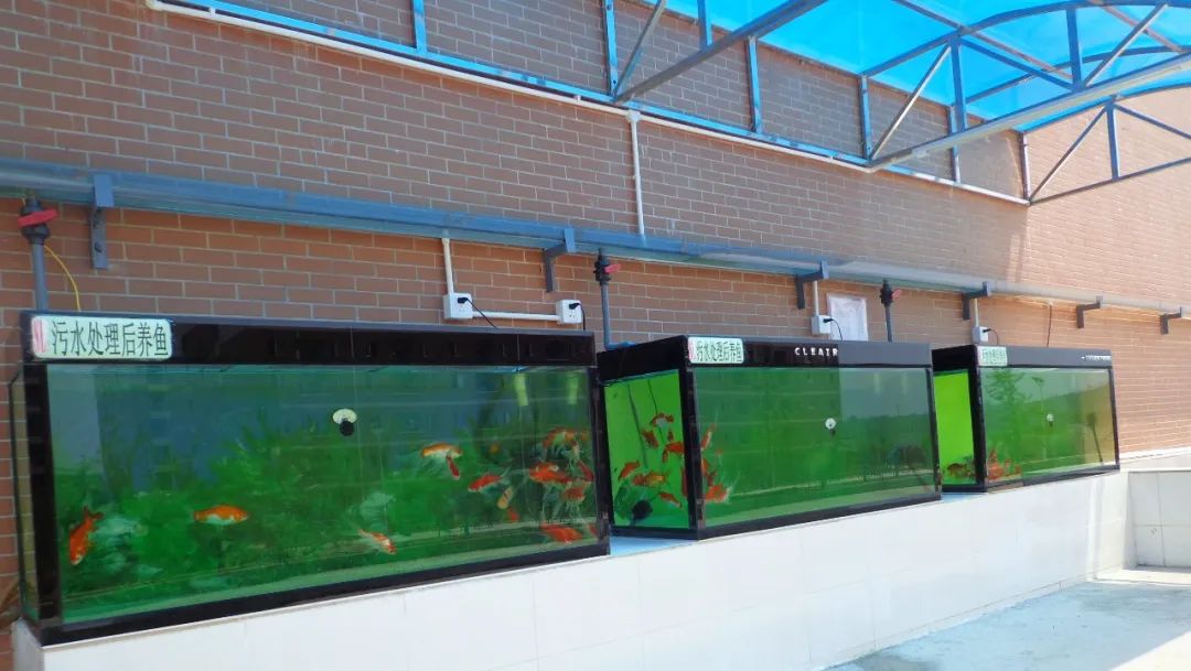 祝贺公司被评为行业先进,祝贺公司荣获高新技术企业称号