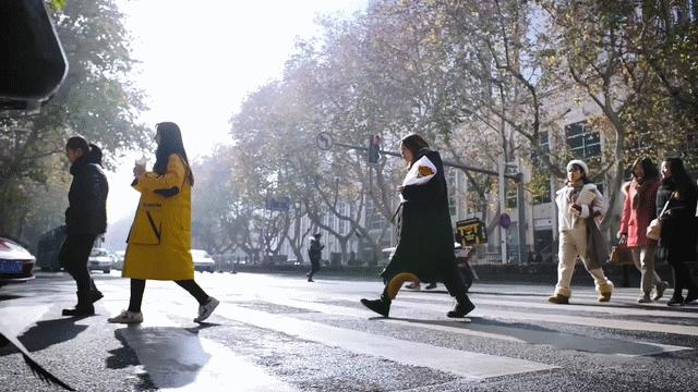 南京旅游必去十处,南京旅游十大必去免费景点排名