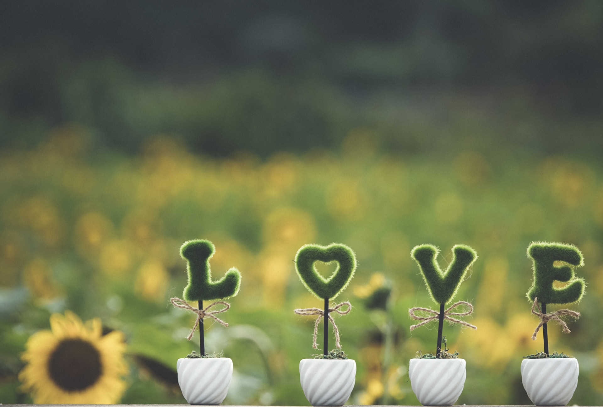 心理学了解男人的冷淡,心理学如何放下一个深爱过的人