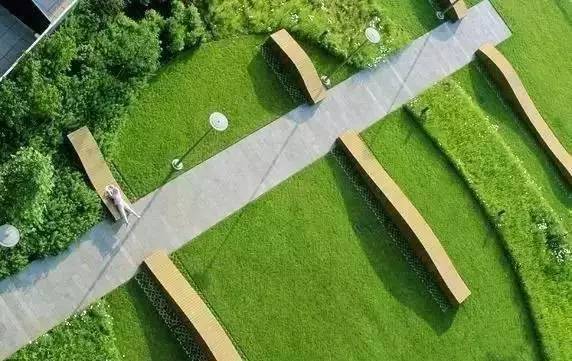 花园草坪如何打理,花园草地打理