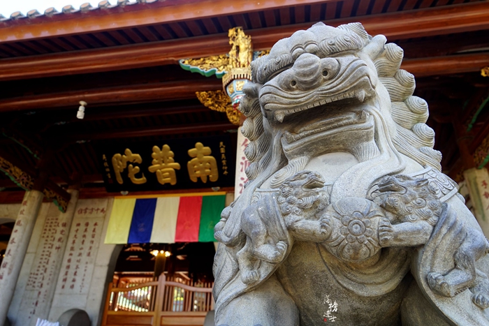 厦门旅游必去十个景点自由行攻略,厦门旅游攻略必去的5大景点