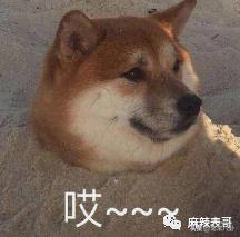 周扬青微博发文是真的吗,周扬青微博发的话