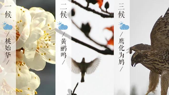 为什么惊蛰这天要打小人,二十四节气惊蛰民间传说