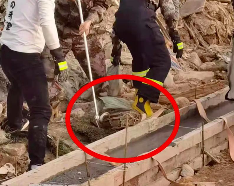 7米长巨蟒腹部隆起,3米长的巨蟒在闹市被发现