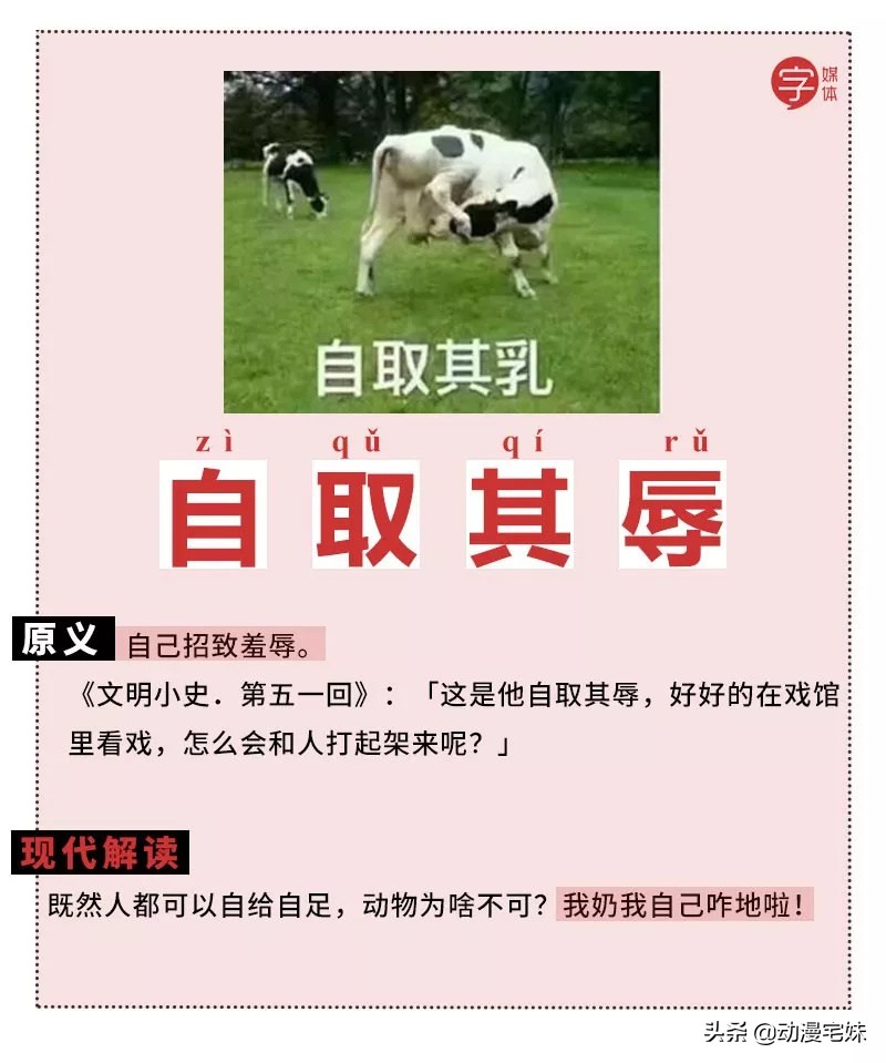 当沙雕网友盯上成语表情包