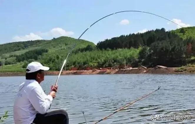鲢鳙到底怎么钓才能钓得多,鲢鳙怎么才好钓