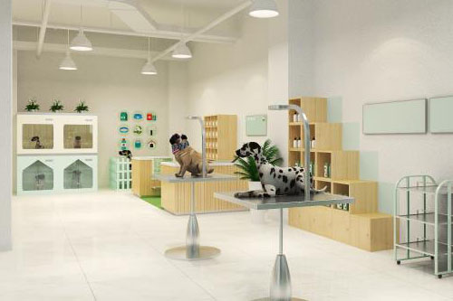 一站式宠物店装修案例欣赏,宠物店最新装修图片大全