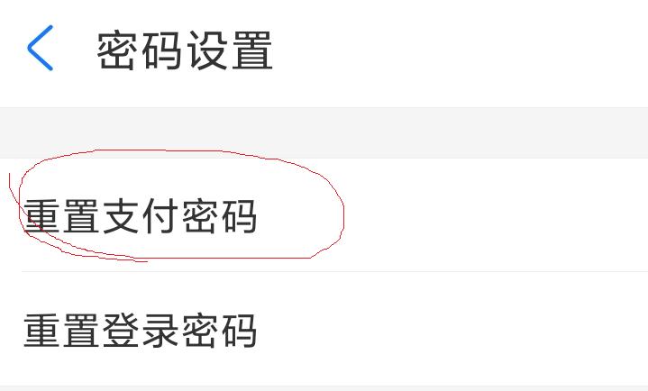 支付宝支付密码忘了怎么办,支付宝支付密码忘了怎么办小米