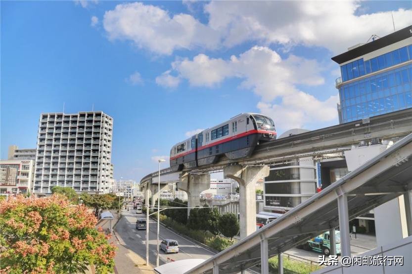 同仁健康筑梦远航2019.11.11海洋光谱号狂欢之旅