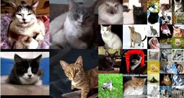 ai技术与影像技术的结合,影像ai技术