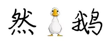 一夜白头是有心事吗,一夜白头是真实案例吗