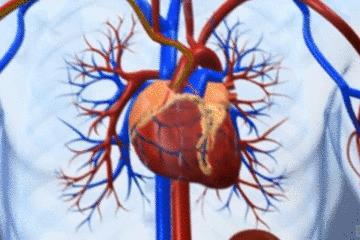 手术的时候医生对你做了什么,手术时切了一片肺叶