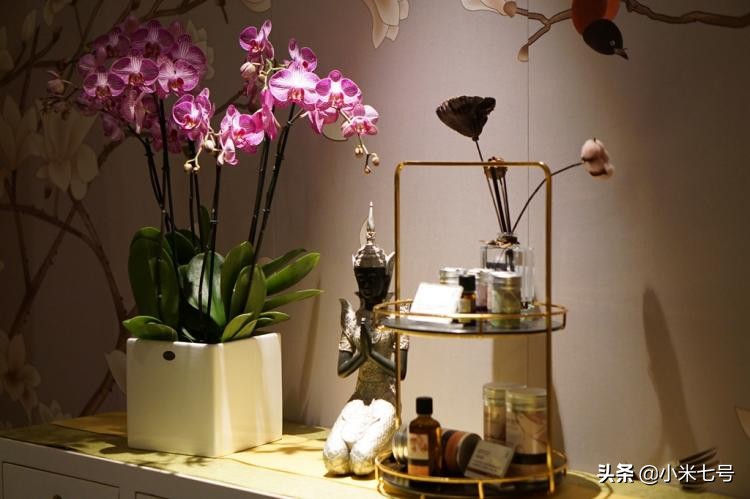 游泳健身会所,游泳健身会所活动