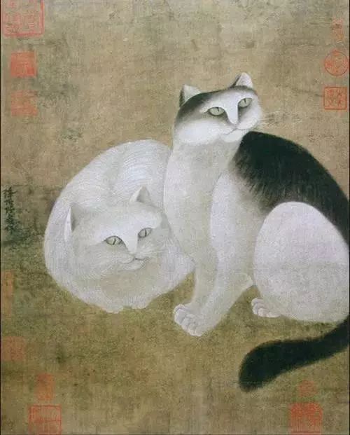 古代人是如何养猫的,古人养猫文化历史