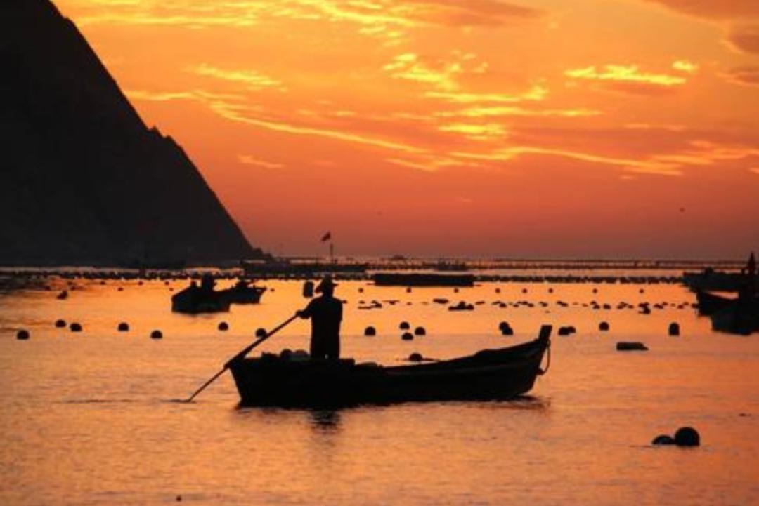 沙爽的活着写作背景,沙爽作品