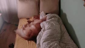 狗特别依赖主人的表现有哪些,狗对某物具有攻击性该怎么办