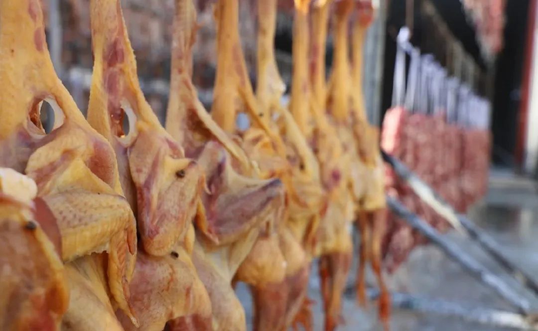 苏州西山十大知名农家乐有哪些,带你走一走苏州的太湖边农家乐