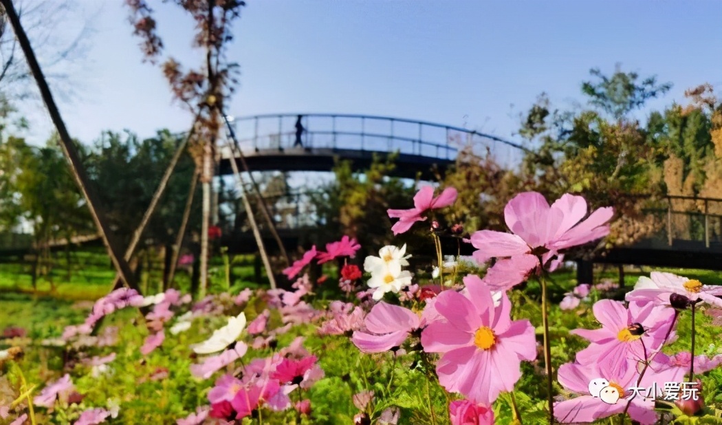 北京室内温泉游乐场,北京室内运动游乐场