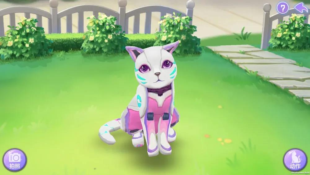 哪个品种的猫咪才最吸引人？《喵与筑》机械猫带来云养猫新体验