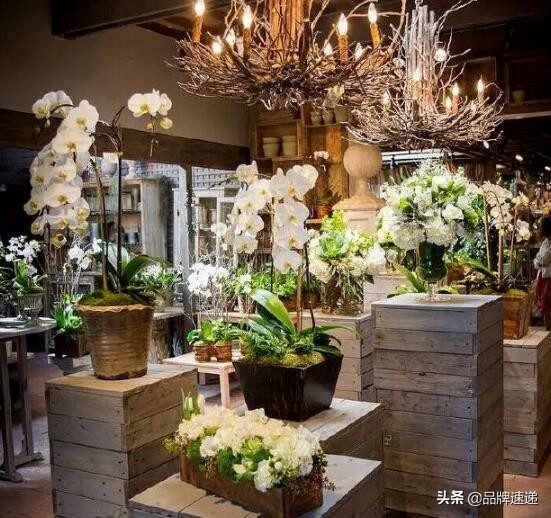 花店优雅空间设计,如何设计一个具有创意的花店
