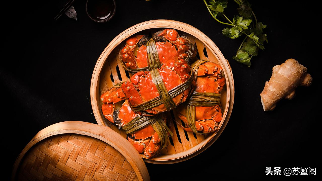测评阳澄湖大闸蟹视频,肥美正宗阳澄湖大闸蟹