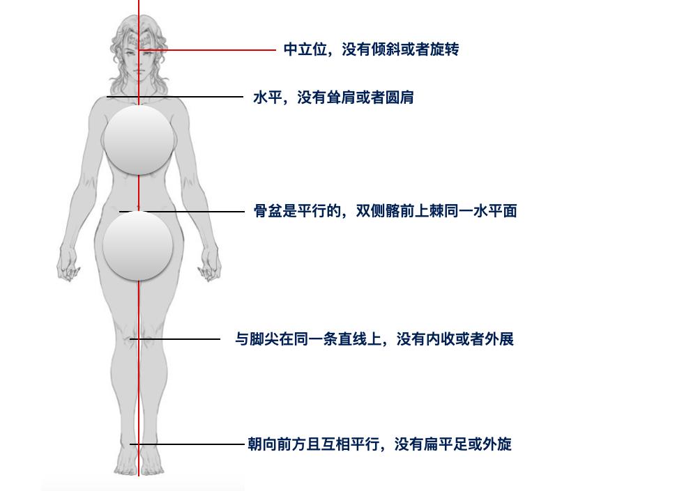 怎样练翘尾支撑平衡,平衡的训练方法