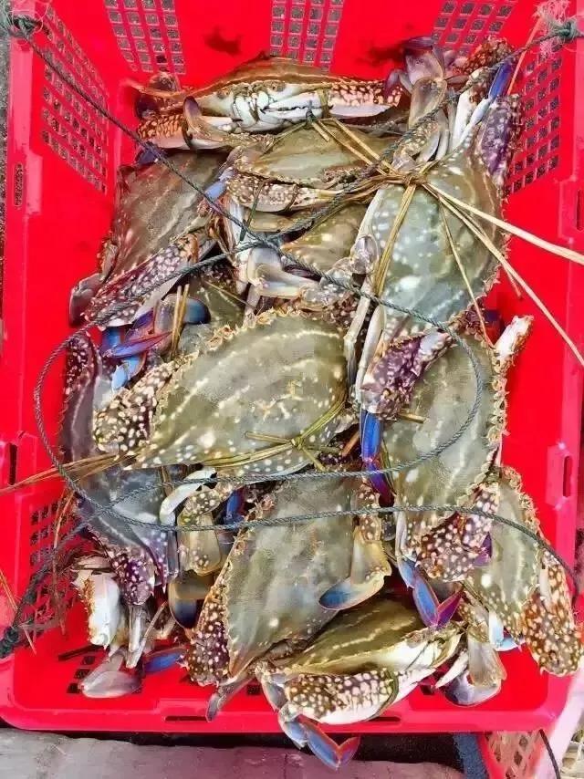 珠海东澳岛最高景点,珠海东澳旅游度假村