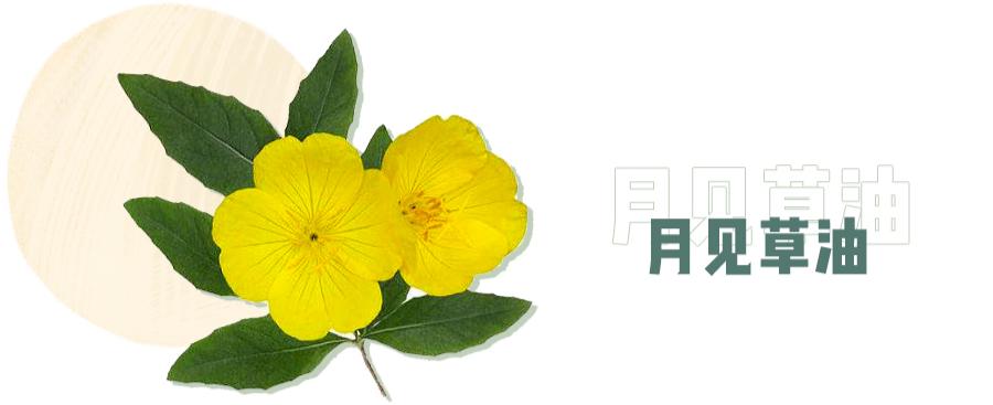 能够代替水乳精华面霜的护肤品,能代替精华的水乳