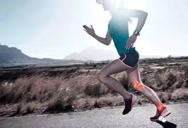 白岩松每天跑步3-5次,白岩松每周跑4-5次视频