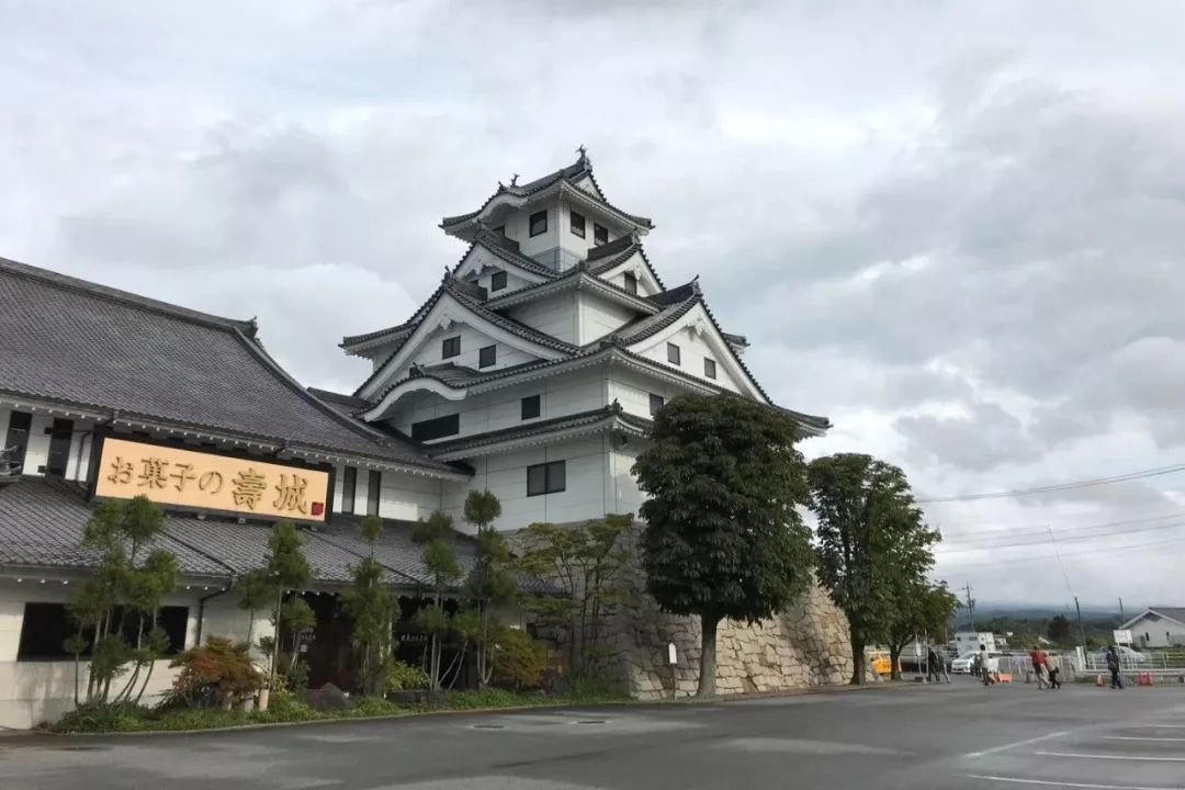 上海参加进博会企业,上海进博会日本