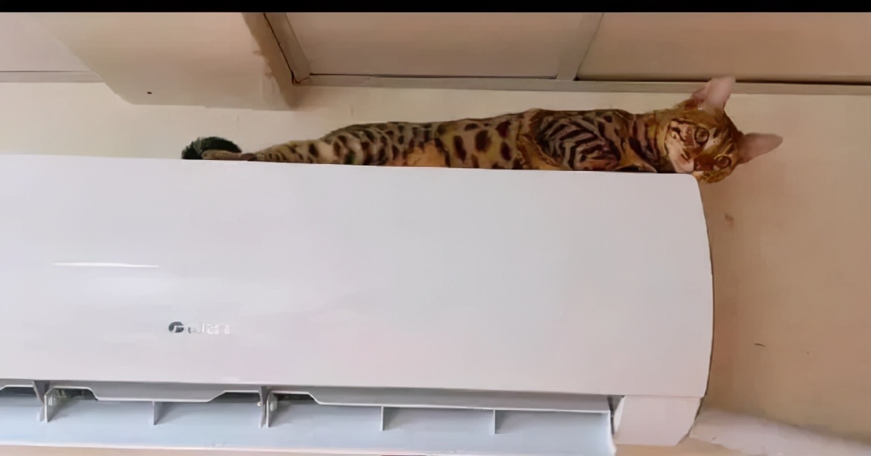 轻松祛斑根本不可能！找准原因长期坚持，才能将它逐步淡化