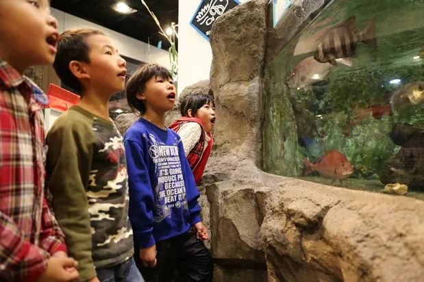 大阪攻略自由行,看惯了千篇一律的高楼大厦