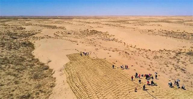 2016年马云斥巨资打造的蚂蚁森林,马云的蚂蚁森林带动当地经济发展