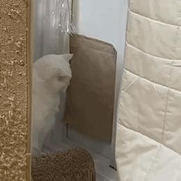 把中间的门店租下来取什么名字好,租下门面不知道取什么名字