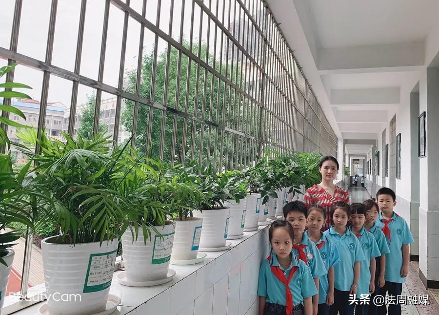暖哭了！好老师可以有多好？看看武陵小学的他们就知道答案了……