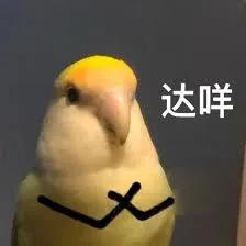 小金罐面膜使用方法,御泥坊面膜使用方法