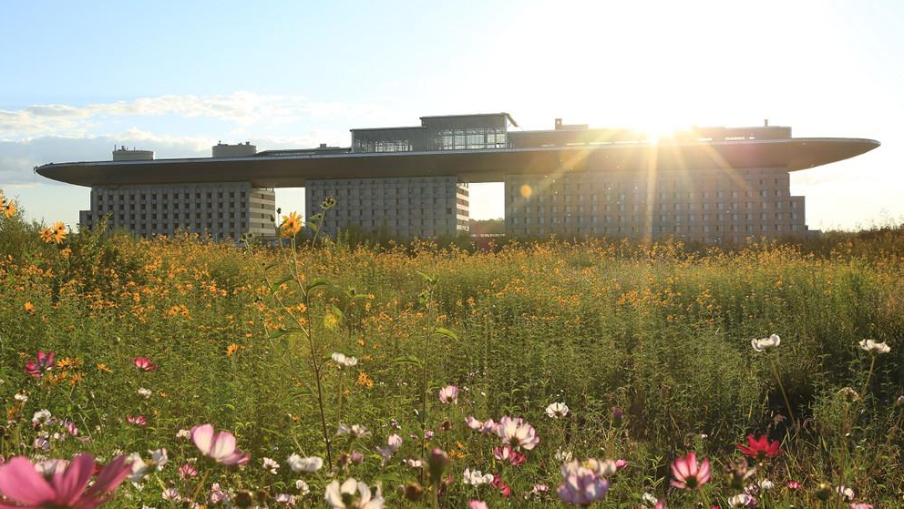 吉林最奇葩的老房子,吉林市十大特殊建筑