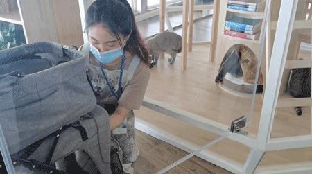 天津天塔内部长什么样,天津天塔柱子里有什么