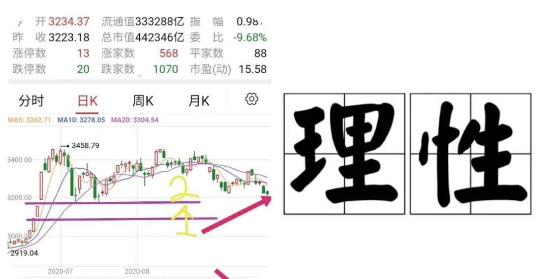 5只支付宝专售的基金怎样了？一文尽览始末，俯瞰山河