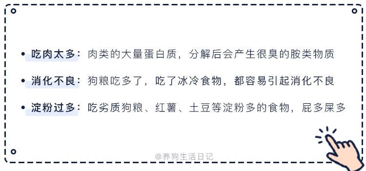 梦到喝马桶水，原来是狗半夜放屁