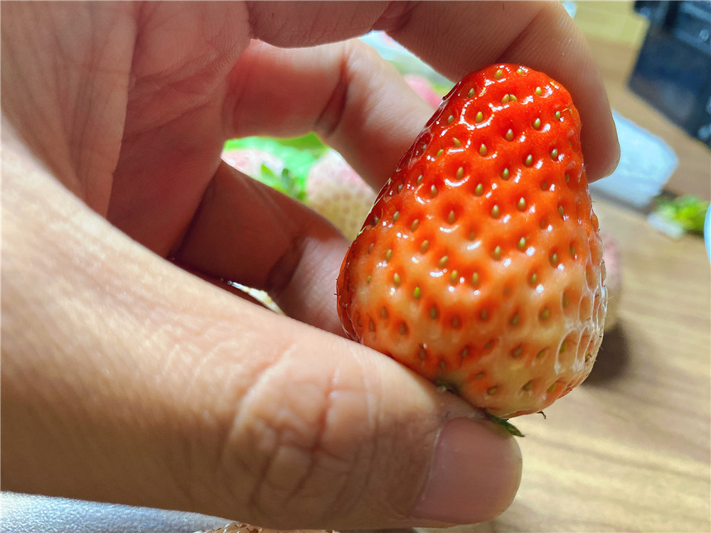 如何在网上买到真草莓,怎么在网上买正宗丹东草莓