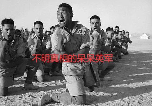 女王的面条，英国科玳发射药为啥长这么怪？