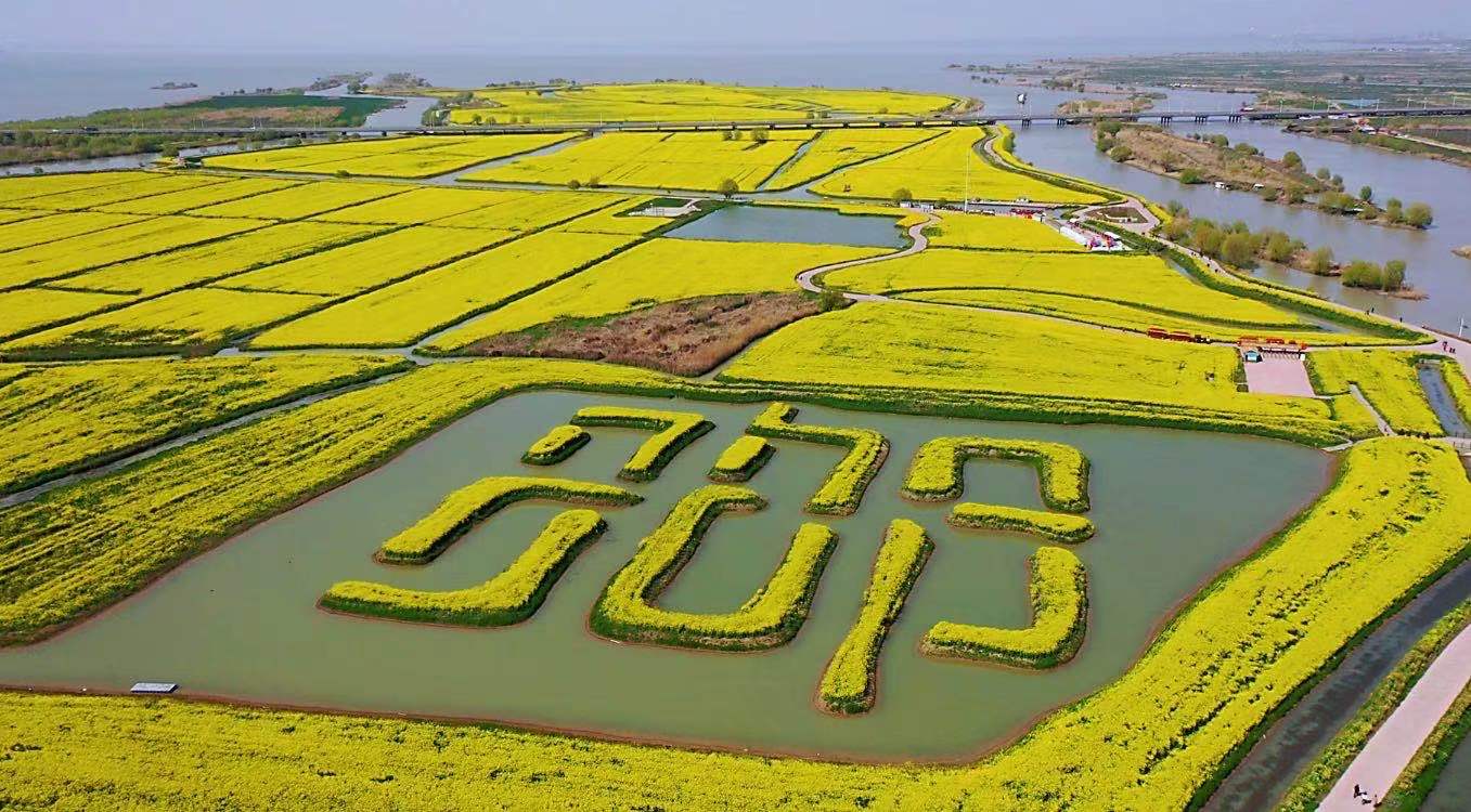 浙江适宜养老的小镇物价低房价低,中国最适合养老的城市排名前十