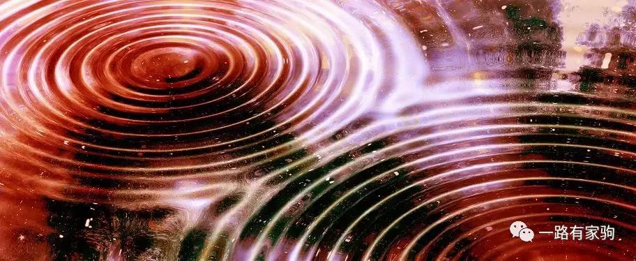 如何评价一首歌曲的旋律,怎么分析一首歌的律动