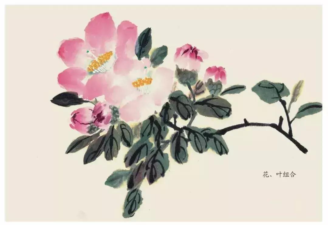 国画中各种花卉的画法,国画花卉画法步骤视频教程