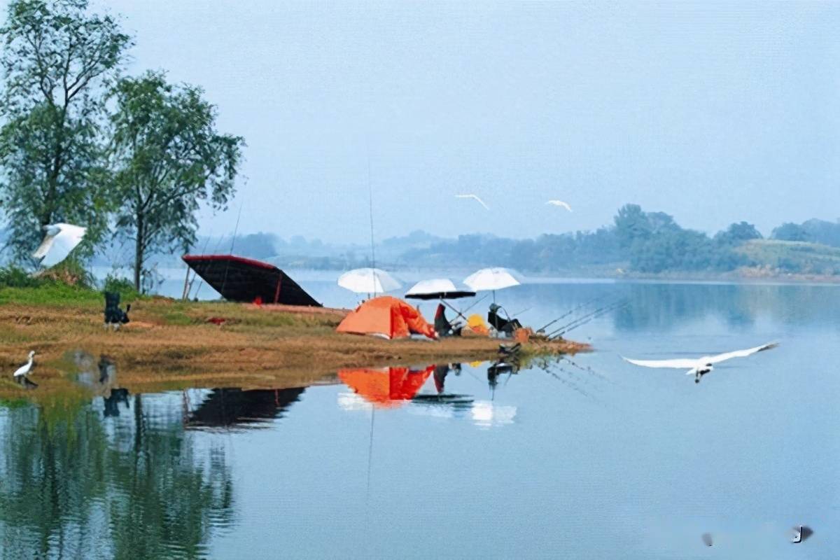 怎么判断钓鱼当天气压大概是多少,如何判断钓鱼气压高低口诀