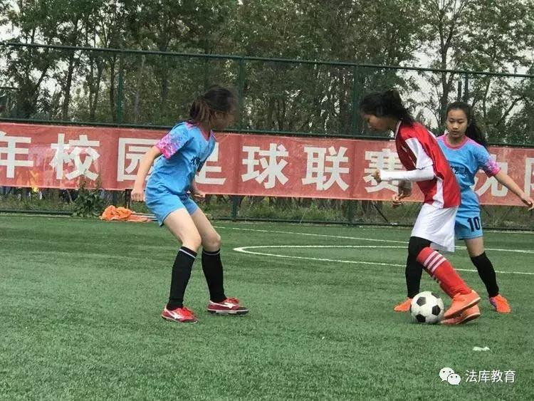 2019年沈阳市青少年校园足球比赛,2019辽宁省校园足球联赛初中