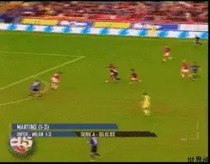 还记得马丁斯吗？那只在梅阿查和圣詹姆斯公园翱翔的雄鹰