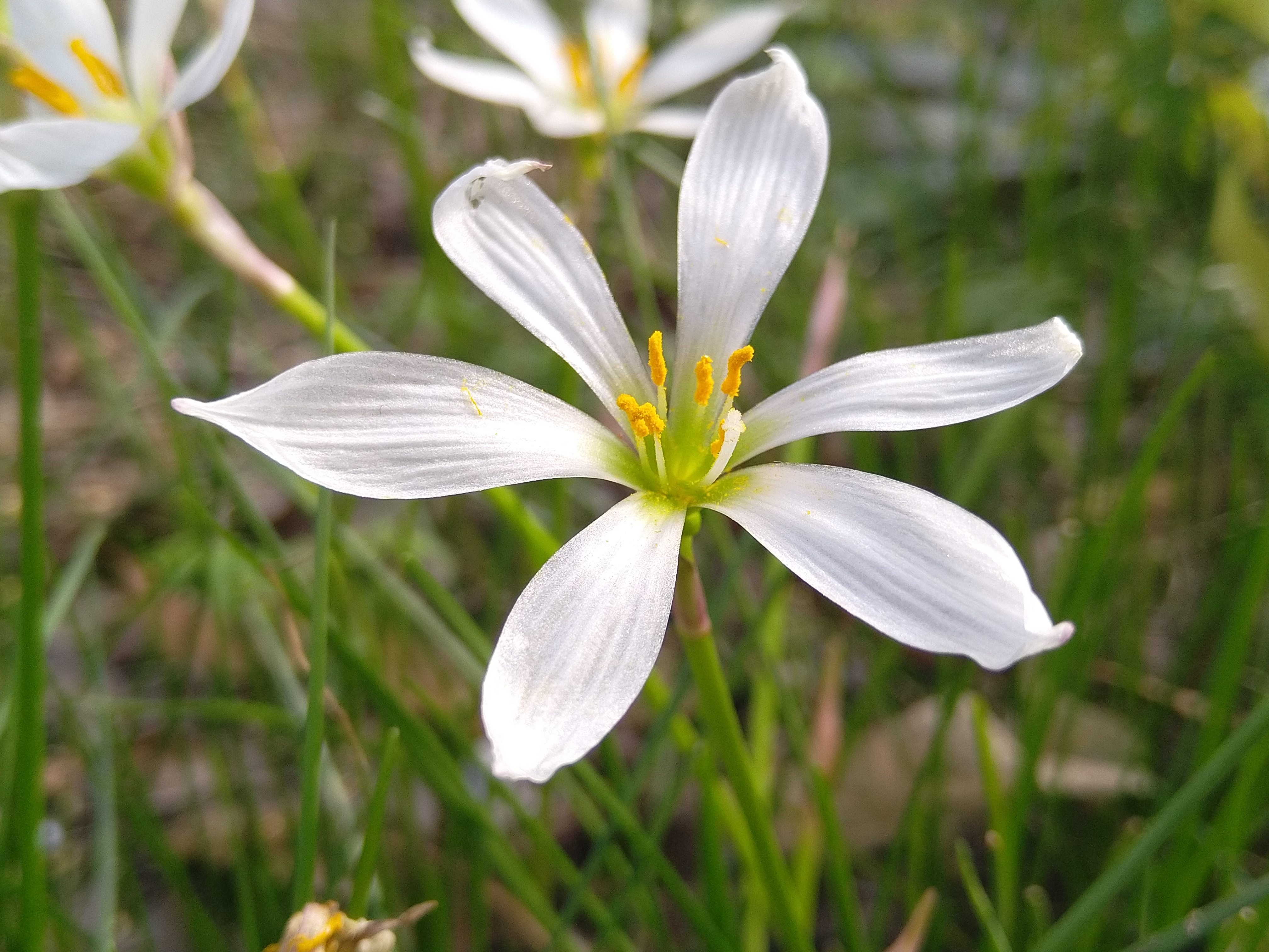 cats62pro三防手机评测,三防手机s62pro开箱